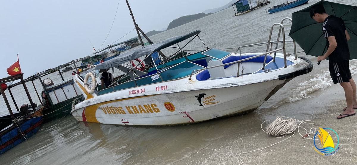 Ban-giao-cano-cao-toc-cat-ba-hai-phong-thanh-cong-hon-ca-mong-doi-