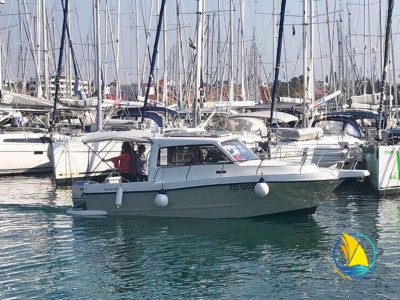 SPORTS FISHING TRAIN FINSON 28