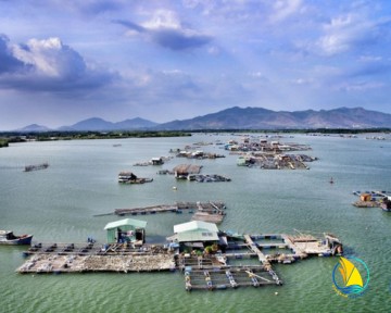 TỔ CHỨC TOUR DU LỊCH