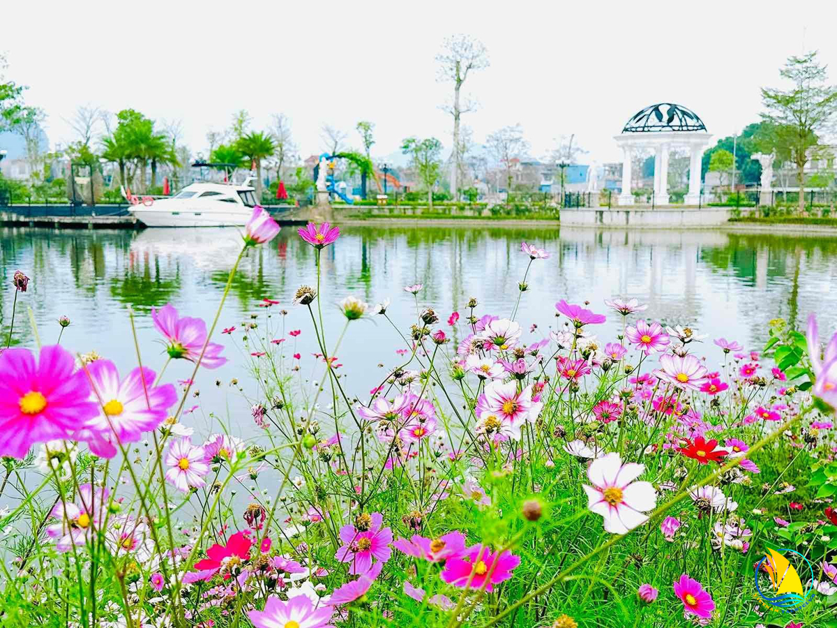 Lễ Bàn Giao Du Thuyền Danko Thái Nguyên - Dấu Mốc Mới Của Đẳng Cấp Thượng Lưu